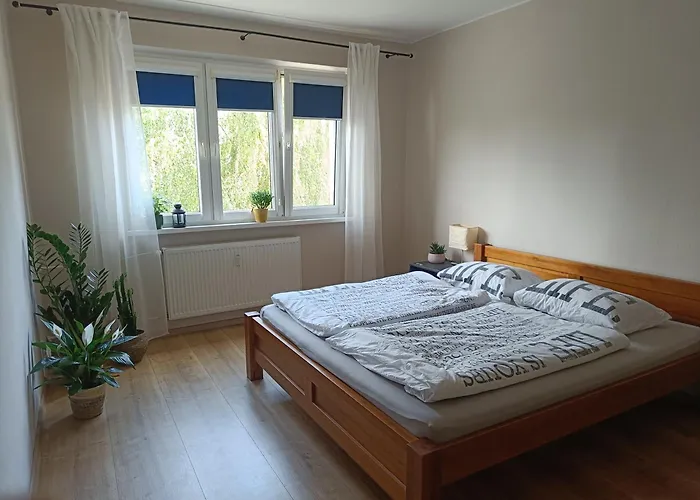 Apartment Comfort